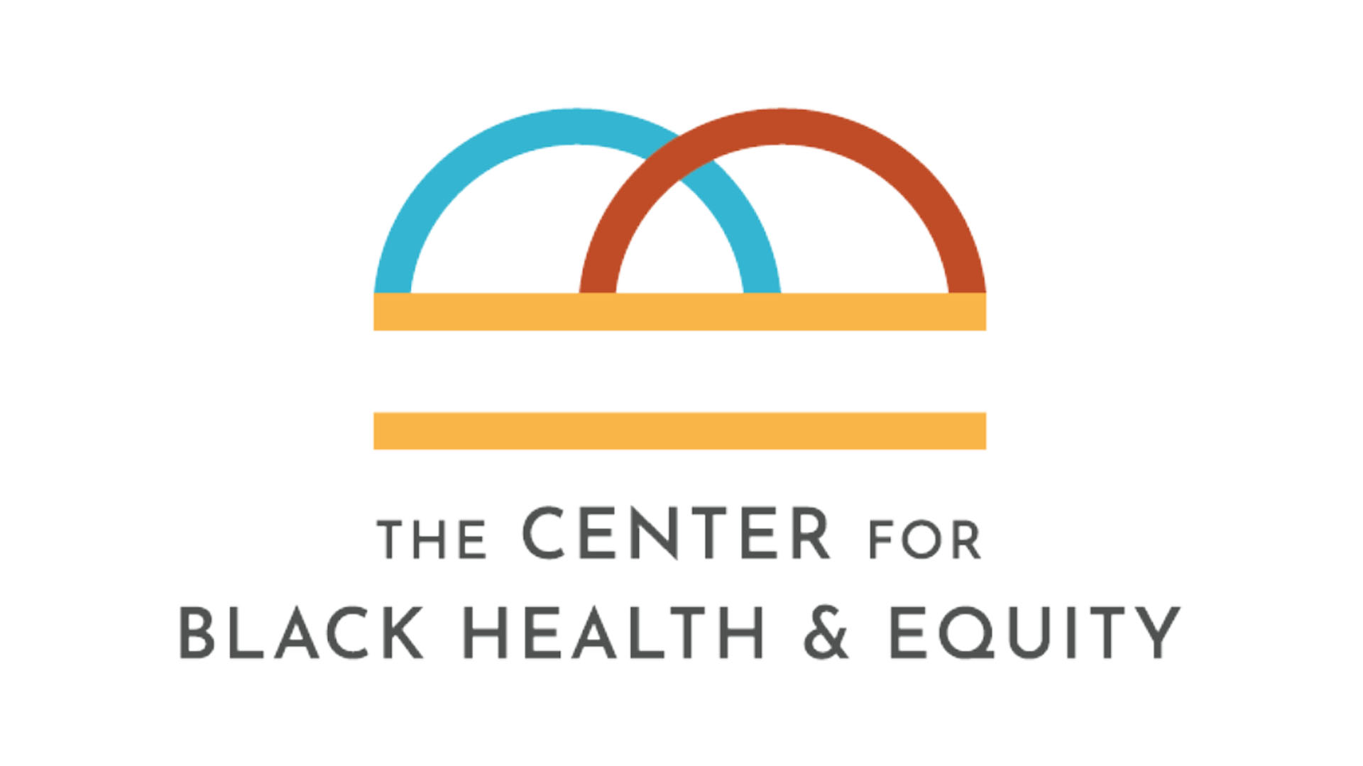 The Center for Black Health & Equity