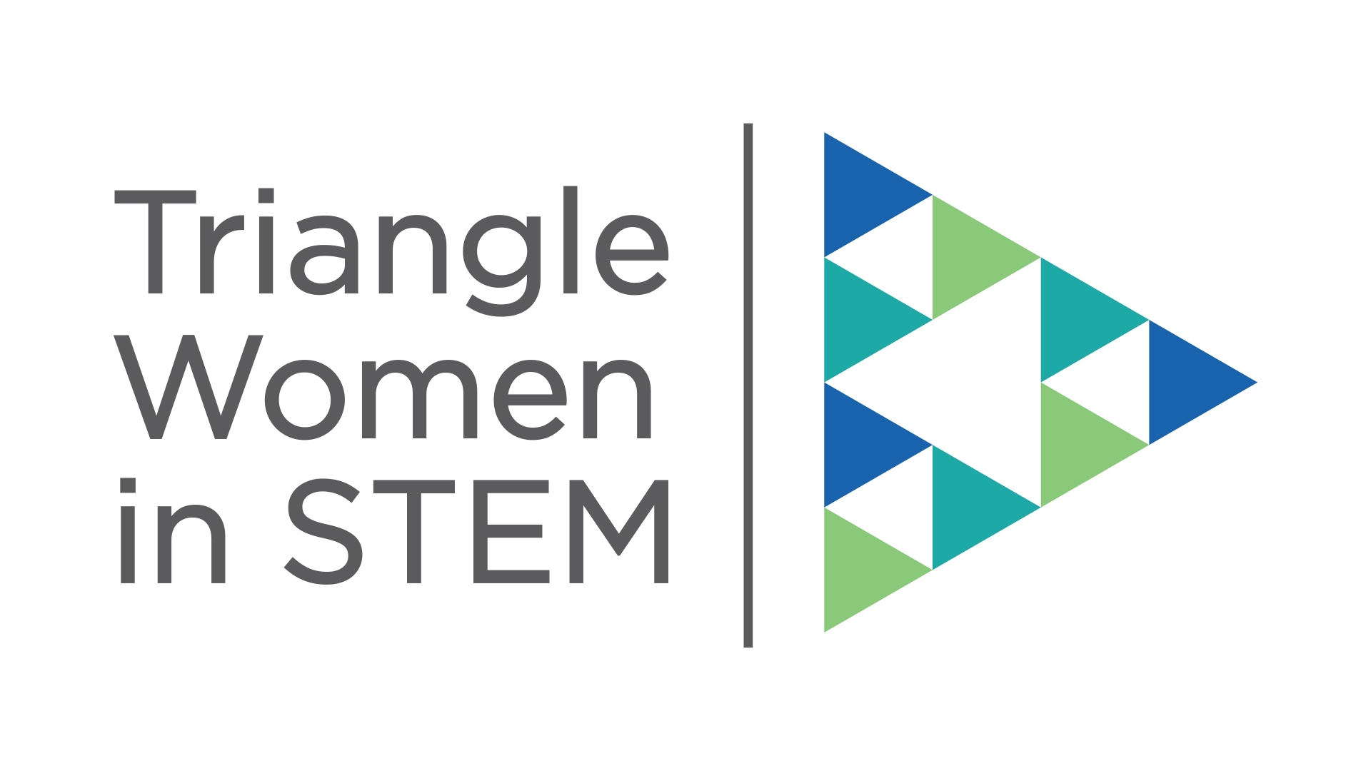 Triangle Women in STEM